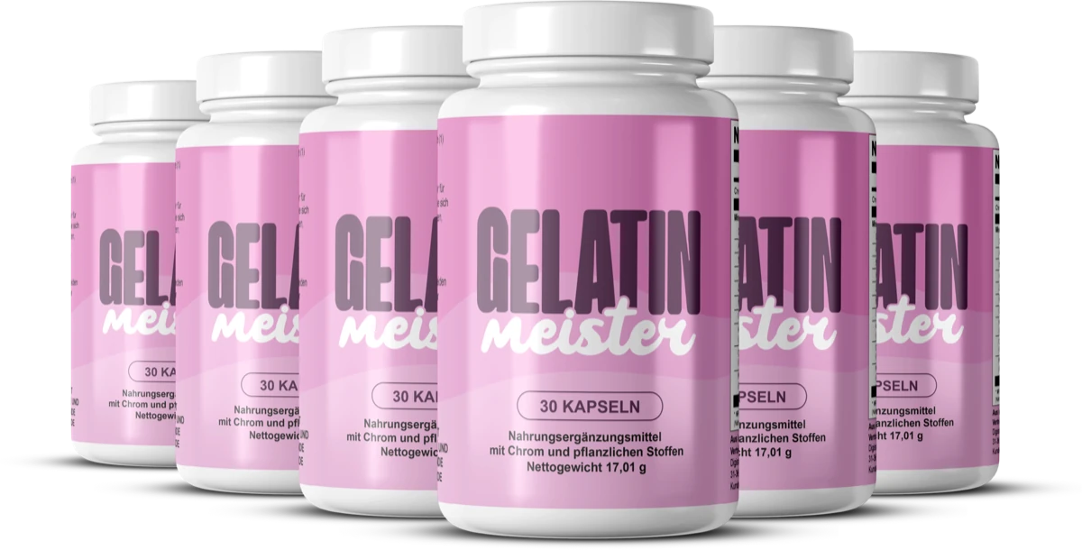 Gelatin Meister 6x