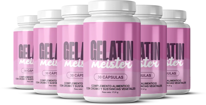 Gelatin Meister 6x