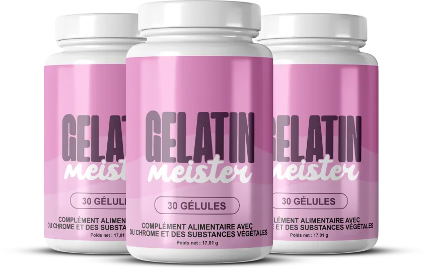 Gelatin Meister 3x